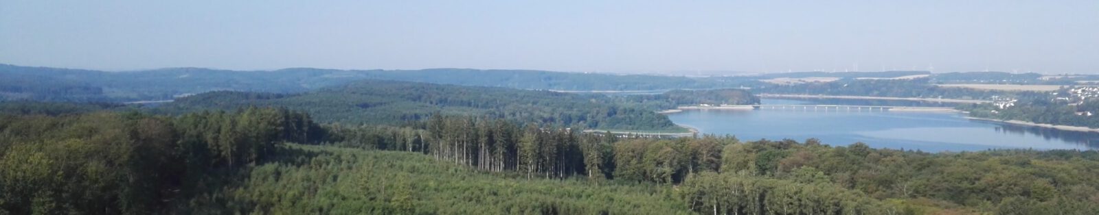 Teckel von den Roteichen